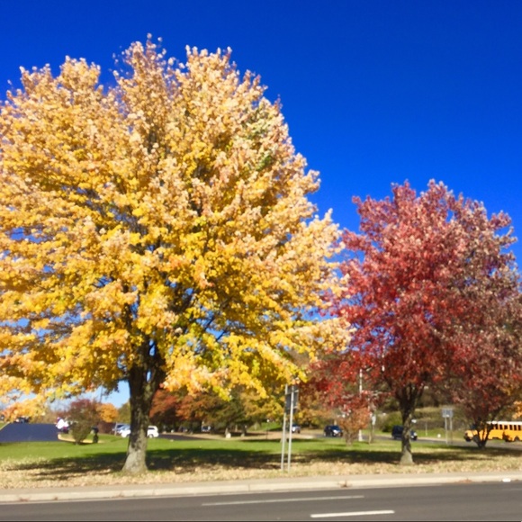 Meet your Posher, Leah - Picture 1 of 1